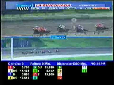 9NA CARRERA DOM 05 AGOSTO LA RINCONADA COPA CATIRE BELLO 2012 AUDIOHIPISMO