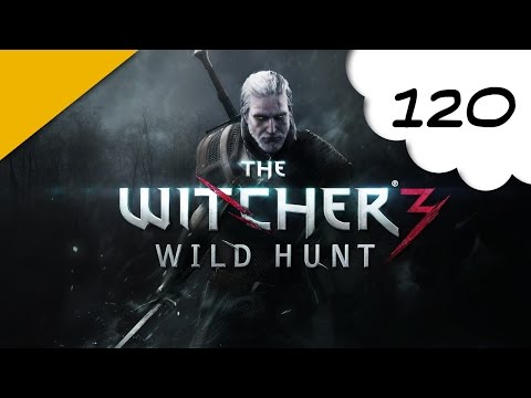 The Witcher 3 : Wild Hunt - pc - 120