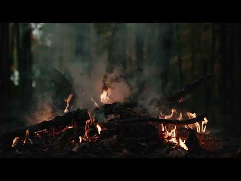 No Copyright Fire Video|Wood Fire|Flame|4k video