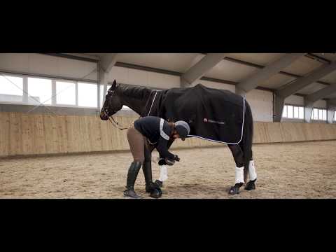 Equine Fusion