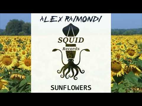 Sunflowers - Alex Raimondi (teaser)