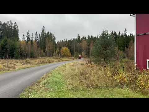 Videoklipp