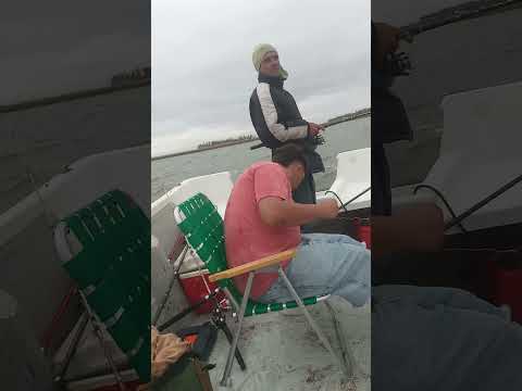 día de pesca en cuero de zorro Trenque Lauquen