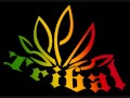 Tribal Seeds- I'll Return Again 