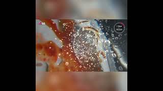 LG Smart Top Control Dishwasher with 1-Hour Wash & Dry, QuadWash® Pro, TrueSteam® and Dynamic Heat Dry™ Print Proof Stainless Steel LDPH7972S Picture