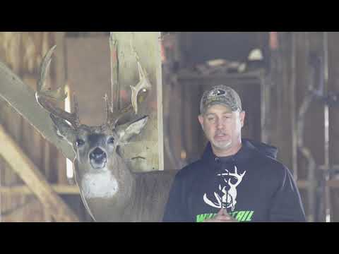 Whitetail Edge's Ben Rising "On Time" Buck | BuckScore Profiles