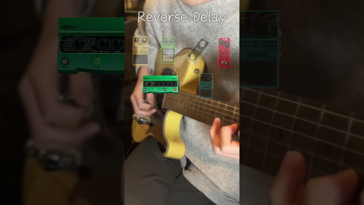 エフェクターの種類、RADにのせて。個人的音作りで使ったもの達です。完コピ勢や音作りガチ勢の方は優しい目で見てくださると嬉しいです。 #ギター #ギター初心者 #ギター練習