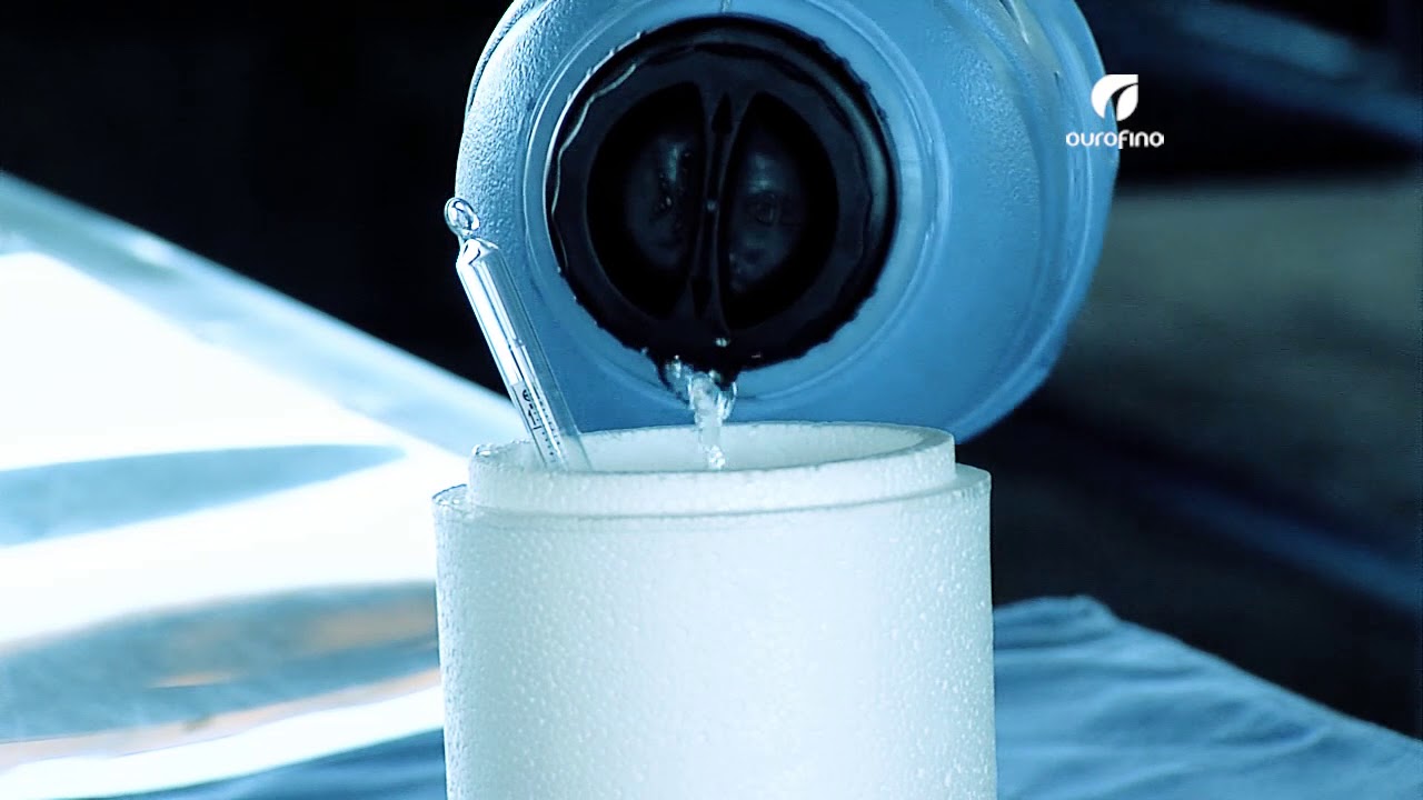 Descongelación de Semen