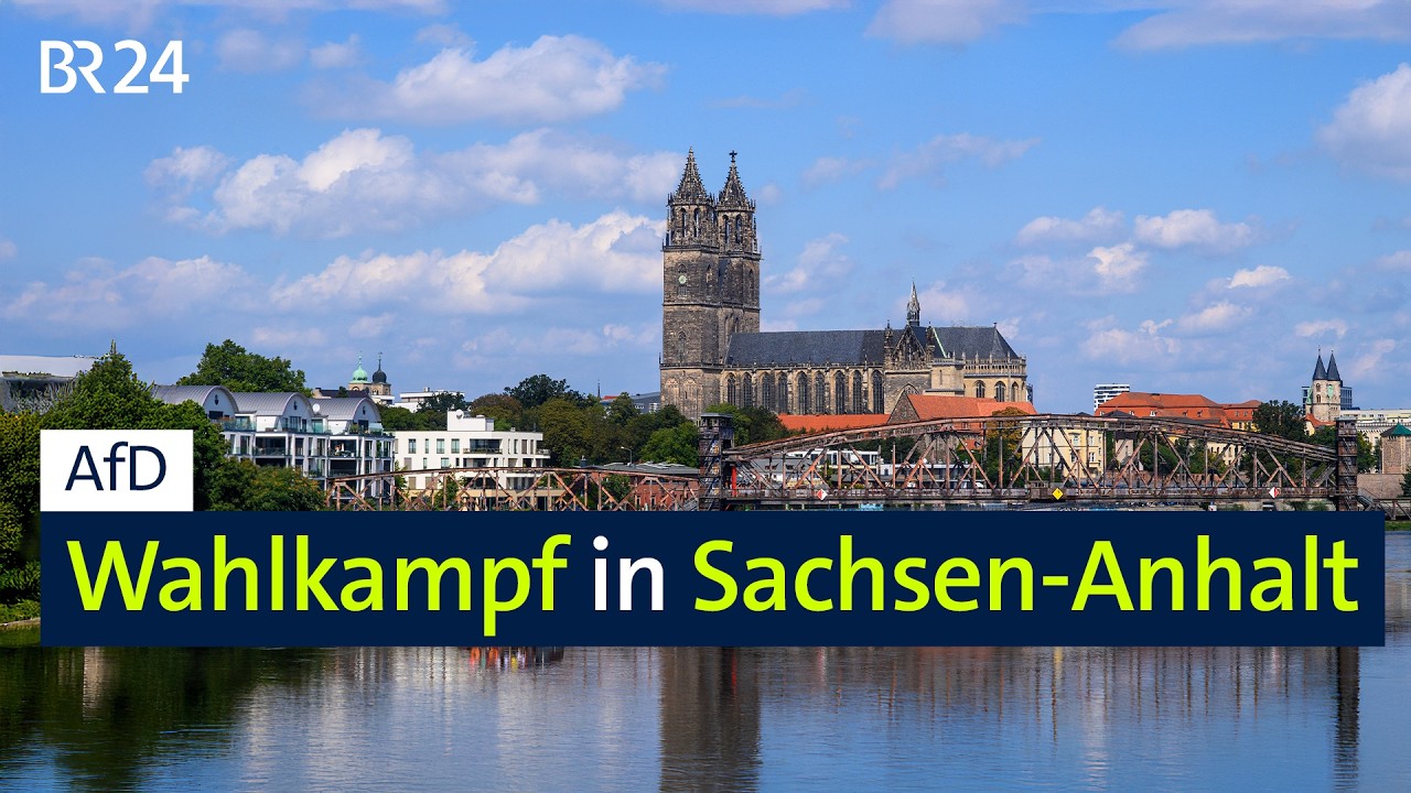 AfD baut in Sachsen-Anhalt Vorsprung aus  | BR24