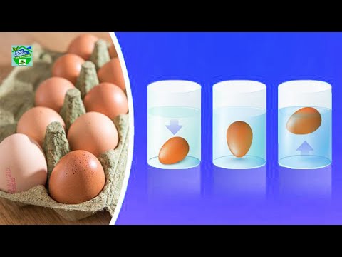 How to Tell If Eggs Are Still Fresh Or Gone Bad With This Simple Trick