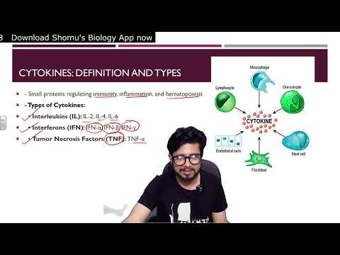 Inflammation animation Steps of inflammatory response Shomu s Biology