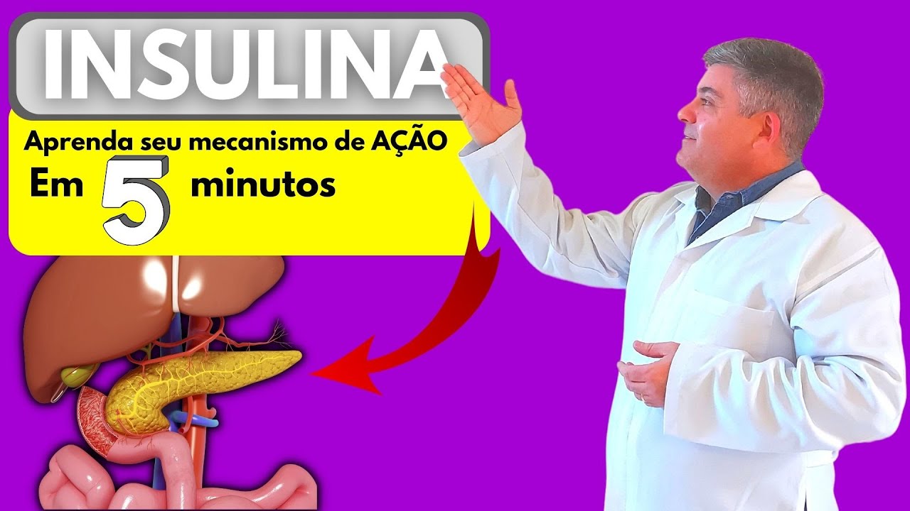 Sabe como funciona a INSULINA?