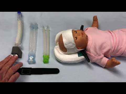 Tortle Midliner Overveiw