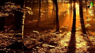 Toby Lightman - Holding a Heart (Moseqar Remix)