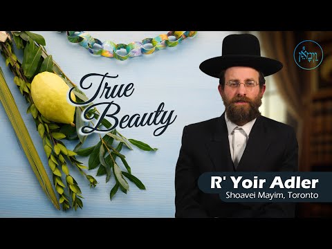 True Beauty | Rabbi Yoir Adler