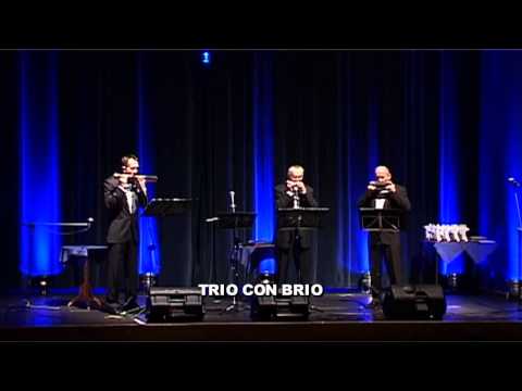 Trio Con Brio  Koncert Noworoczny