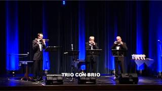 Trio Con Brio  Koncert Noworoczny
