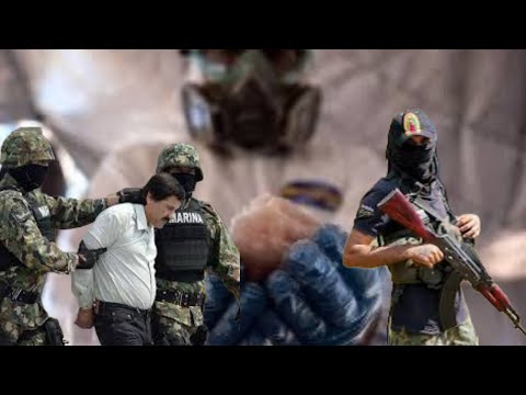 Kartelet ‘tërbohen’, Meksika në gjunjë para tyre / Cartel, në Top News