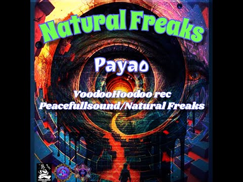 PSYCORE MIX 180-244BPM Natural Freaks by PAYAO
