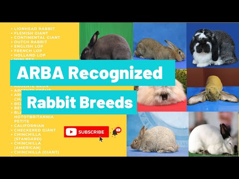 , title : 'Rabbit Breeds - ARBA Recognized'