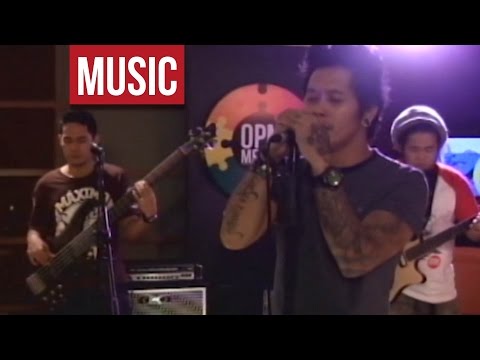 Roots of Nature - "Don't Let Go" Live!