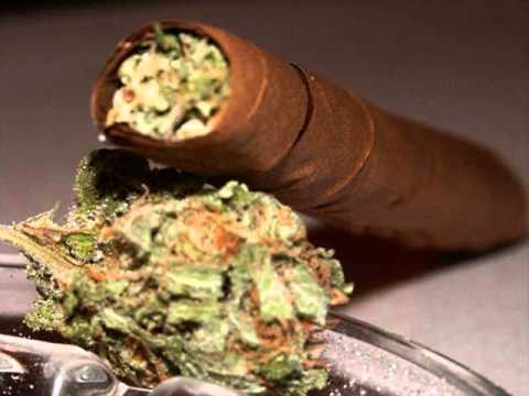 never gone quit  Dee mayo bosh G