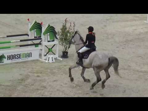 Catch It - 1m20 @ HGVBB Horses For Pleasure - Ternat