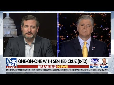 Sen. Cruz: Every Single Legal Vote Should Be Counted