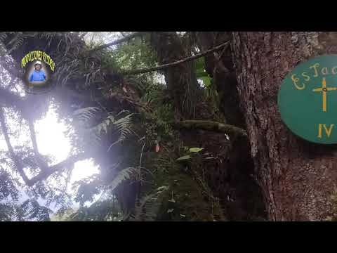 CAMINO A LA CRUZ - PARTE 3