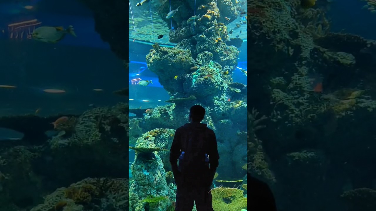 YouTube Short thumbnail