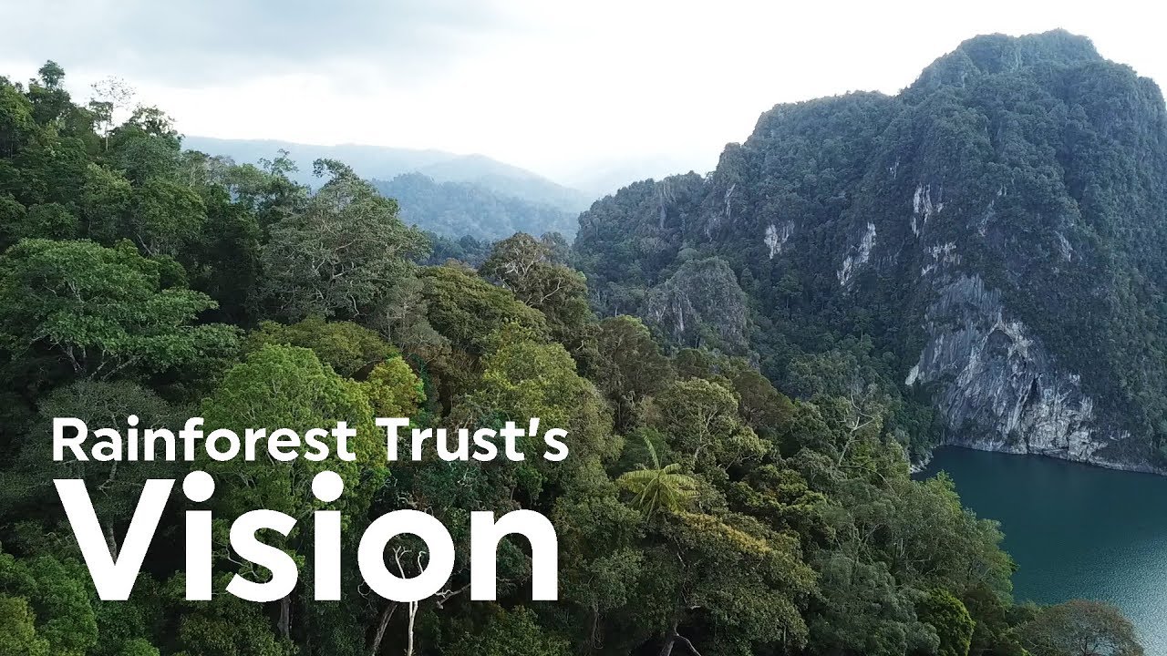 Rainforest Trust's Vision
