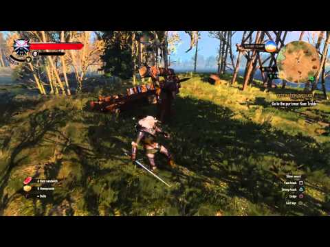 The Witcher 3: Basilisk level ?? kill