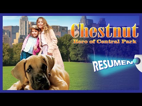 CHESTNUT: EL HÉROE DE CENTRAL PARK - RESUMEN