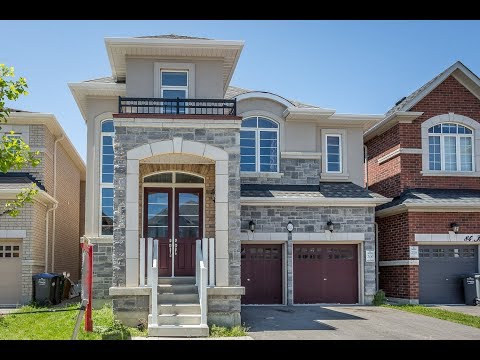 82 Ivor Cres Brampton