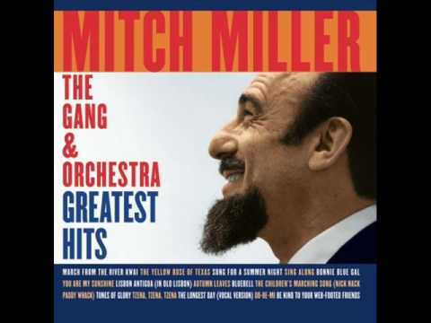 Song For A Summer Night By Mitch Miller