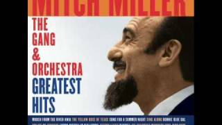 Song For A Summer Night By Mitch Miller