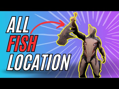 Warframe Fishing Guide | Cetus Fishing Hotspots | Warframe Beginners Guide 2025