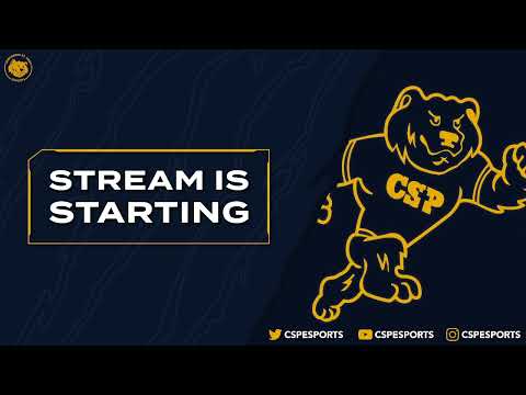 NECC SSBU Singles Losers Finals