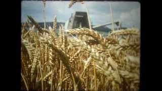 BUKOVA - 1984 BUKOVA - 1984