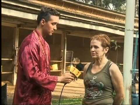 Trainer Katherine Hughes - Horse MIGHTY TRIPLE ACE, 2012 Tunku Gold Cup