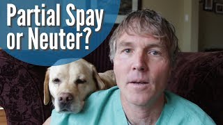 Partial Spay and Neuter for Dogs. Is it Safer?