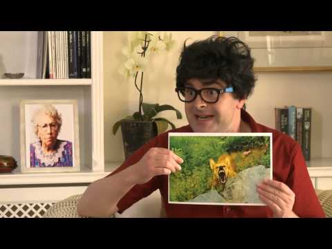 Prepositions - Grammar Genius B - Unit 22