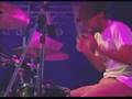 Trevor Davis Treasure Live