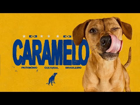 Pedigree - Caramelo (case study)