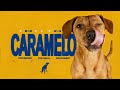Pedigree Caramelo Case Study