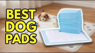 Best Dog Training Pads 2026: Top 5 Picks for Puppies, Senior