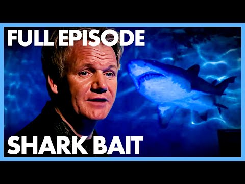 The Cruel Practice of Shark Fin Soup | Shark Bait | Gordon Ramsay