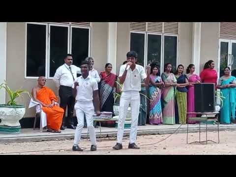 School Boy Kills Sunna Rap | Zany Inzane - Sunna (Freestyle)