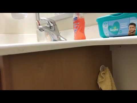 Ants Found in Manchester Township Bathroom