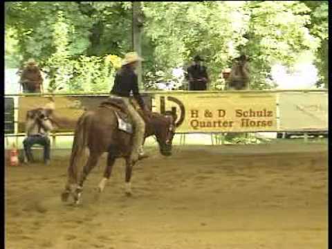 "BMS Spooklight" - Austrian NRHA Futurity 2010